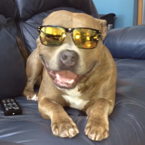 FurtNanTucket's profile picture. 