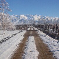 Lupawines (@lupawines) 's Twitter Profile