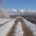 Lupawines (@lupawines) Twitter profile photo Lupawines (@lupawines) Twitter profile photo