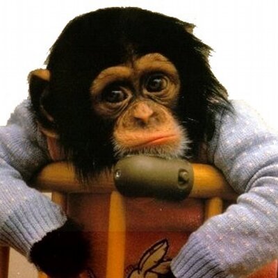 Galau On Twitter Cowok Keren Itu Cowok Yang Ga Ngerokok Galau On Twitter Cowok Keren Itu Cowok Yang Ga Ngerokok