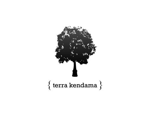 terra_ken's profile picture. Beautiful handmade wooden toys. Kendama and The Pill.