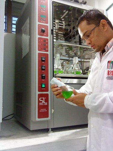 BiofuelsMicroal's profile picture. Seeking the implementation of Biofuels. But second and third generation, with zero impact on the environment and society. http://t.co/ZHJ0Hg0dq1