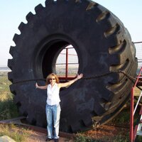 Dianna Gould (@shrmdianna) 's Twitter Profile