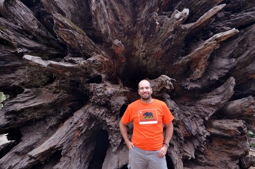 joslmart's profile picture. Lisbon at heart;  Director, Purchasing Leader, Certified Accountant;  Sportsman, sports fan;  Proud member of Sport Lisboa e Benfica;  Tweeting since 2012