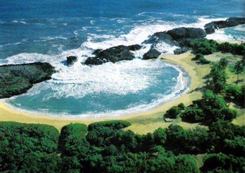 PepekoTours1's profile picture. We are a tour company with more than 10 years of experience giving you the Best Tours in Puerto Rico. If Pepeko Tours can't do it, then no one can!