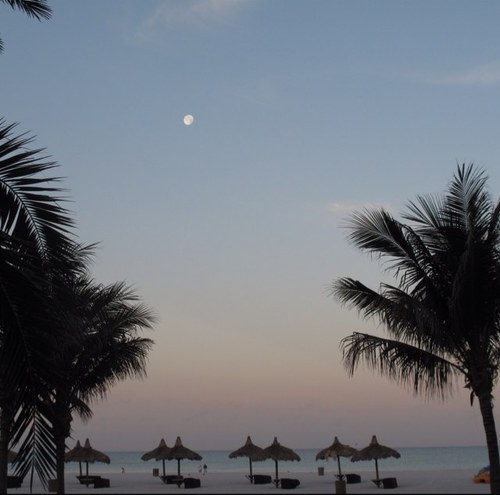 jealford15's profile picture. 