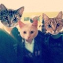 Ariel Pulido - @Xx__ARIEL__xX - Twitter