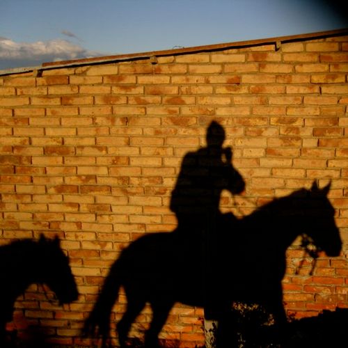 andyboybroc's profile picture. 