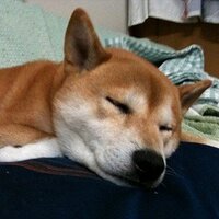 としラボ (@meikenchoko) 's Twitter Profile Photo