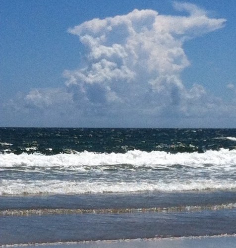 mstapleton44's profile picture. 