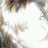 tteilde's profile image