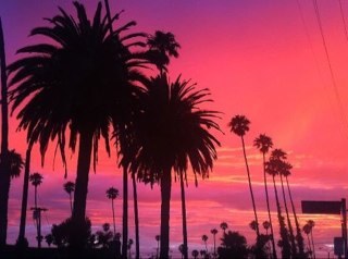 jkfalstaff's profile picture. I'm known to locate certain things, from time to time...Bailforce1 is my Venmo