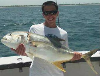 zslagus's profile picture. you would if you had robot ears