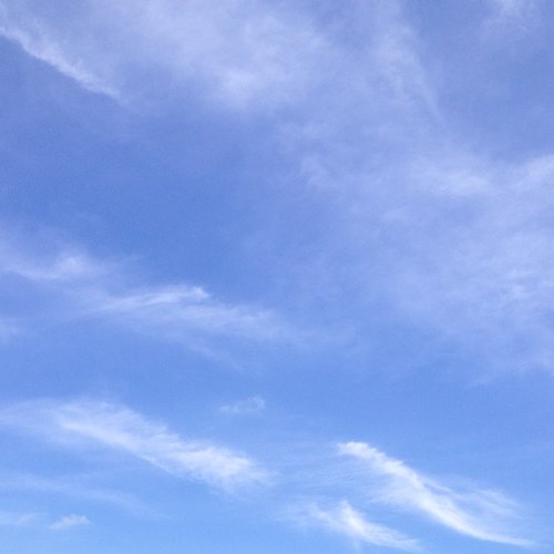 anaeu_garza's profile picture. 