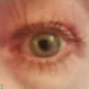 Sue Adamson - @Tillysue2 - Twitter