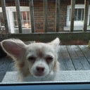 Elayne Smith - @SmithElayne - Twitter