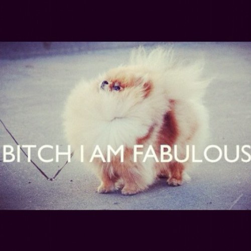 Beauty_isBeast's profile picture. Mother&&Wife :) Follow Me, I Follow Back 100%!