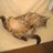 1867_carla's profile image