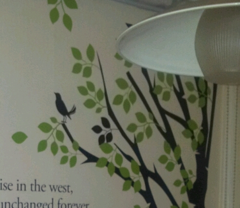 fill0001's profile picture. 난 정의가 무엇인지 안다▶♥&사람들의 불편한 진실을 그려보자