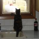 Mark Hubers - @markhubers - Twitter