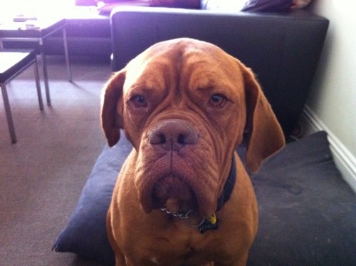 SirValealot's profile picture. Food, beer and wine are my favourite points of conversation.