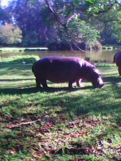 Anundaoware's profile picture. Father | Husband | Geopolitics | Nature | Technology | Sports | Friendship | Justly |Altruism |