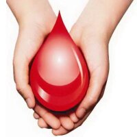 Donasi Darah (@donasidarah) 's Twitter Profile