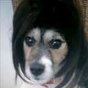 steven clarkson - @stevenclarkson2 - Twitter