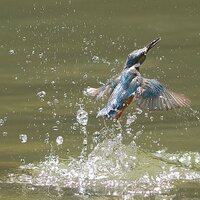 suresh (@suresh173e) 's Twitter Profile