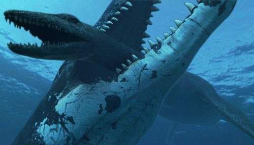 tazulyr72's profile picture. Однажды я попытался убить в себе лень, но чуть не убил себя.