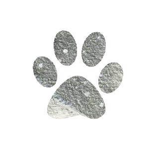 Karen Pryor Academy Certified Training Partner, ABTC registered Animal Trainer, Agility Club Approved Instructor, IABTC Certified Instructor