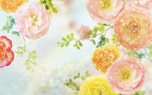 Love natural and organic products.