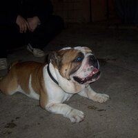 bonipick_Cooper (@pickwinnn) 's Twitter Profile