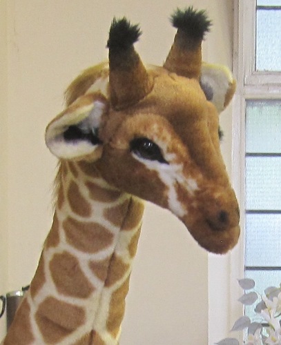 Mascot of Barrow Hill Community Group&Methodist Church.Happy-go-lucky giraffe who often gets his head stuck in the pipes of the pipe organ.Likes humans.