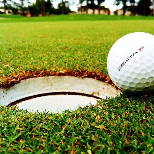 GolfProblems__'s profile picture. Sinkin' putts nailin' sluts. #golfproblems