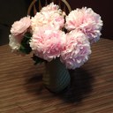 Dawn Pointer - @dawnpointer - Twitter