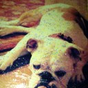 Tricia Springer - @triciarspringer - Twitter