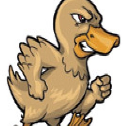 scottmilo69's profile picture. workingout lighting