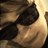 sarahsolftley's profile image