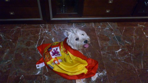 España🇪🇸🇪🇸🇪🇸