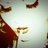 Cookiedangel's profile image