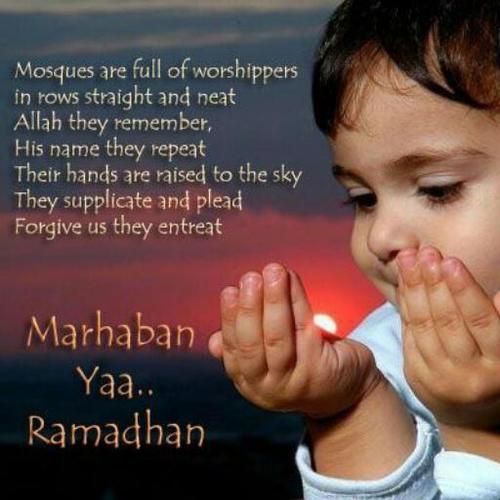 machmoody's profile picture. I'm 'SINGEL' ready to 'MINGEL'