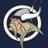 NCSVikings's profile image