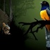 JustAdventuresPanama (@justadventuresp) Twitter profile photo