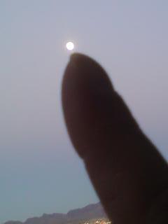 HarnessedShadow's profile picture. 