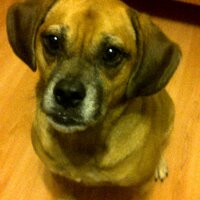 Roberto Fernandez (@bobbywsi) 's Twitter Profile Photo Roberto Fernandez (@bobbywsi) 's Twitter Profile Photo