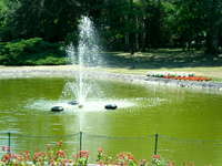 LuckySmith123's profile picture. Only good & fun from Internet!