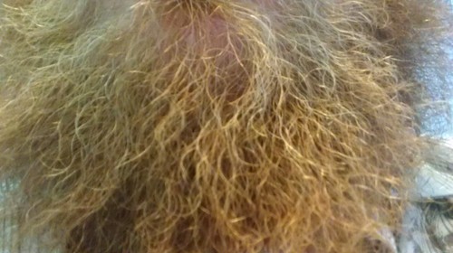 I have been growing since March 5th and I have a mind of my own.