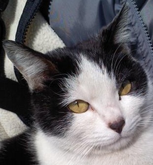 doricono's profile picture. https://t.co/zFp0thATSp