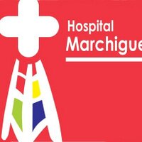 Hospital Marchigue (@hmarchigue) 's Twitter Profile
